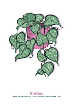 Pothos-1