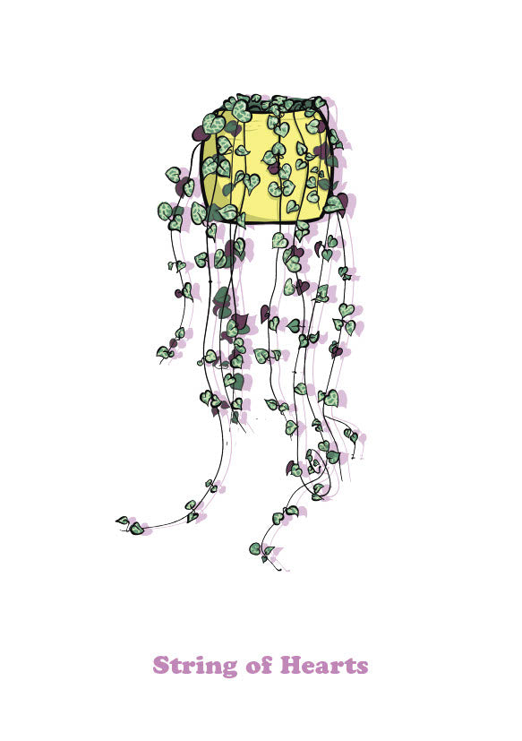 String of Hearts-1