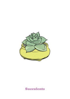 Succulent-1