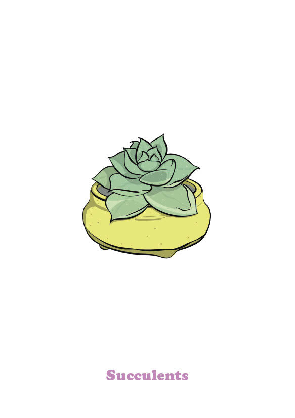 Succulent-1