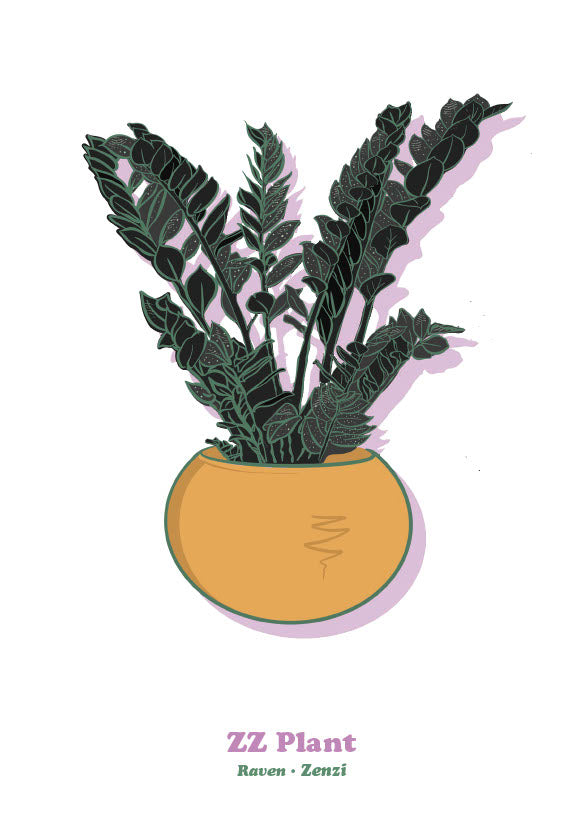 ZZ Plant