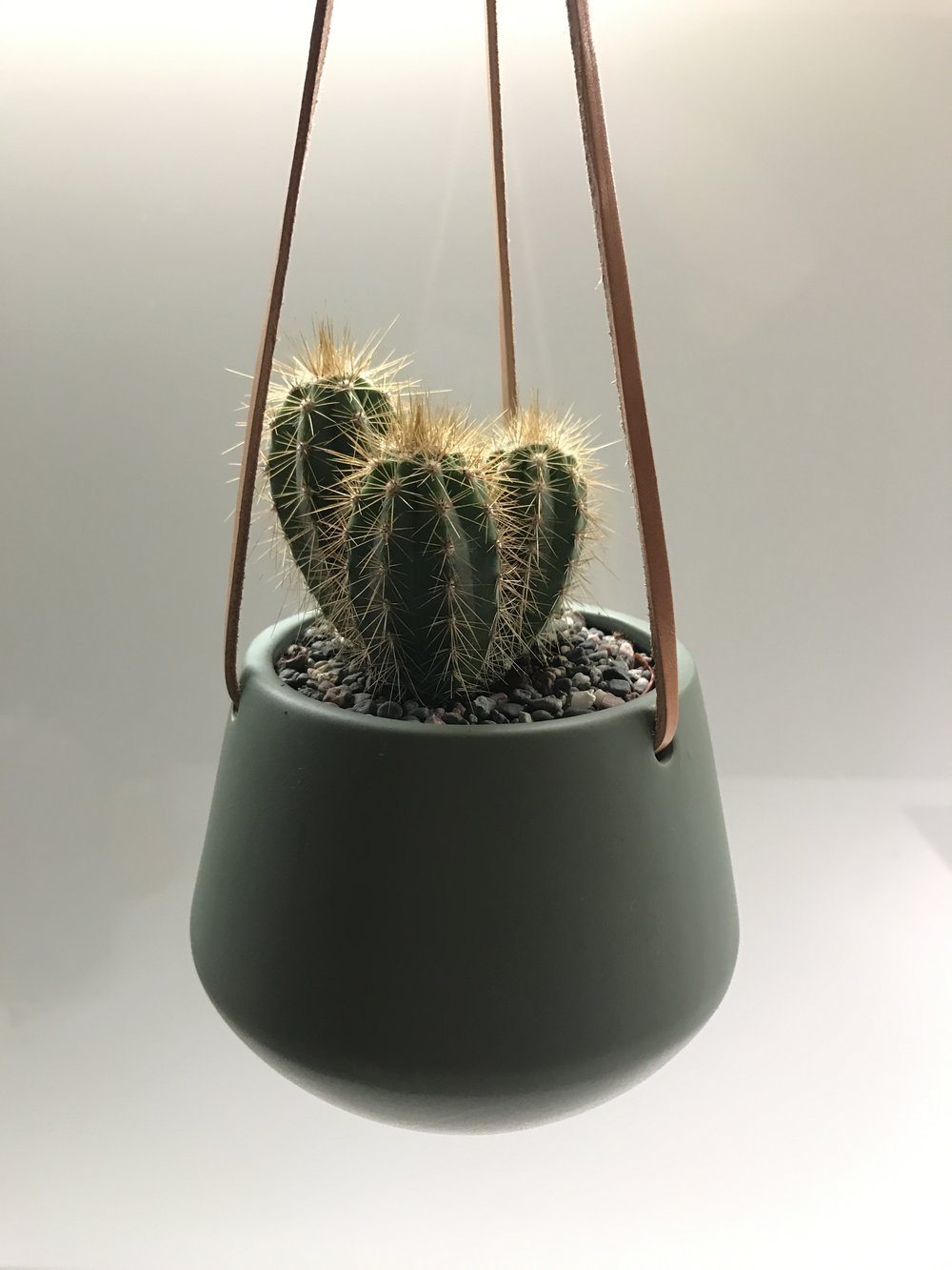 Skittle Hanging Pots (small)-7