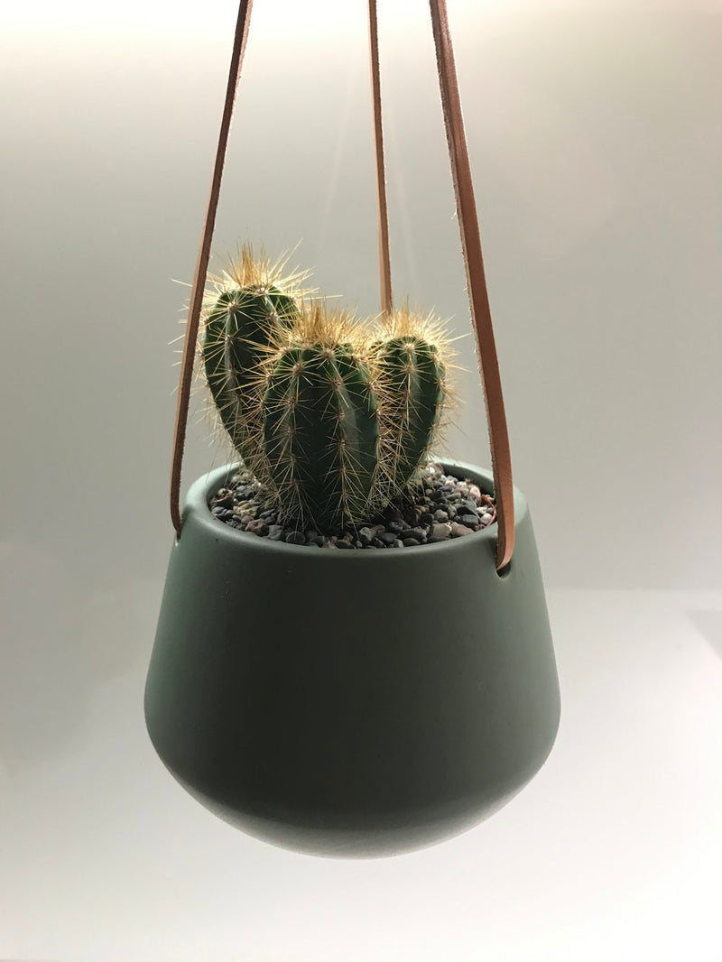 Skittle Hanging Pots (small)-7