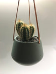 Skittle Hanging Pots (small)