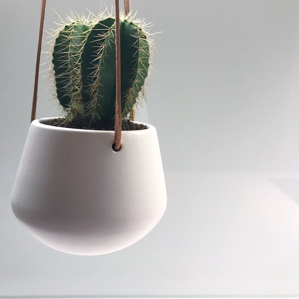 Skittle Hanging Pots (small)-8