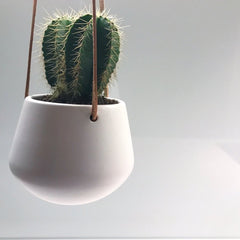 Skittle Hanging Pots (small)-8