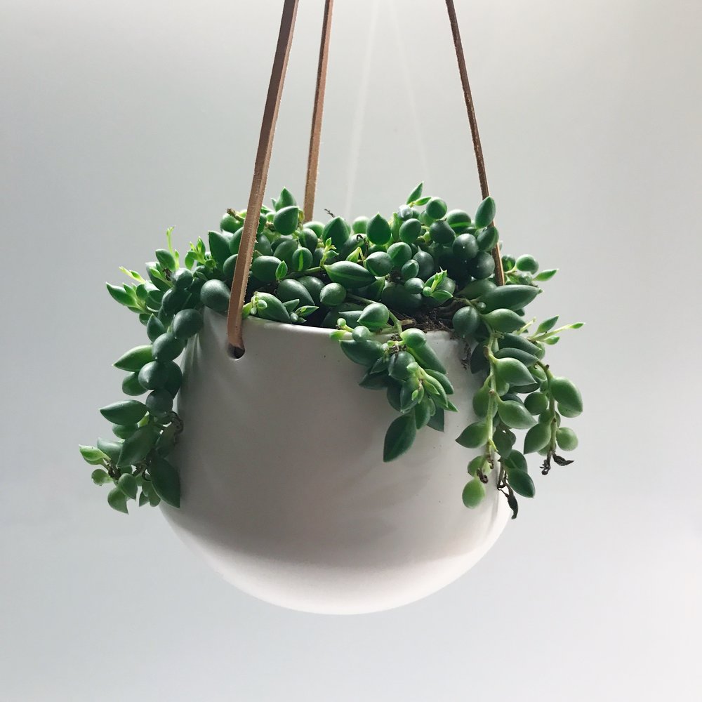 Skittle Hanging Pots (small)-5