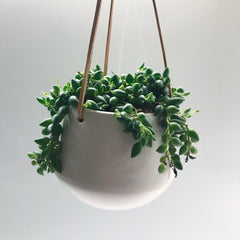 Skittle Hanging Pots (small)-5