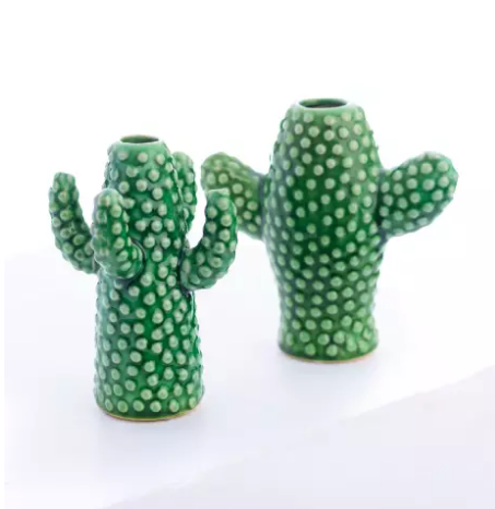 Mini Cactus Vase
