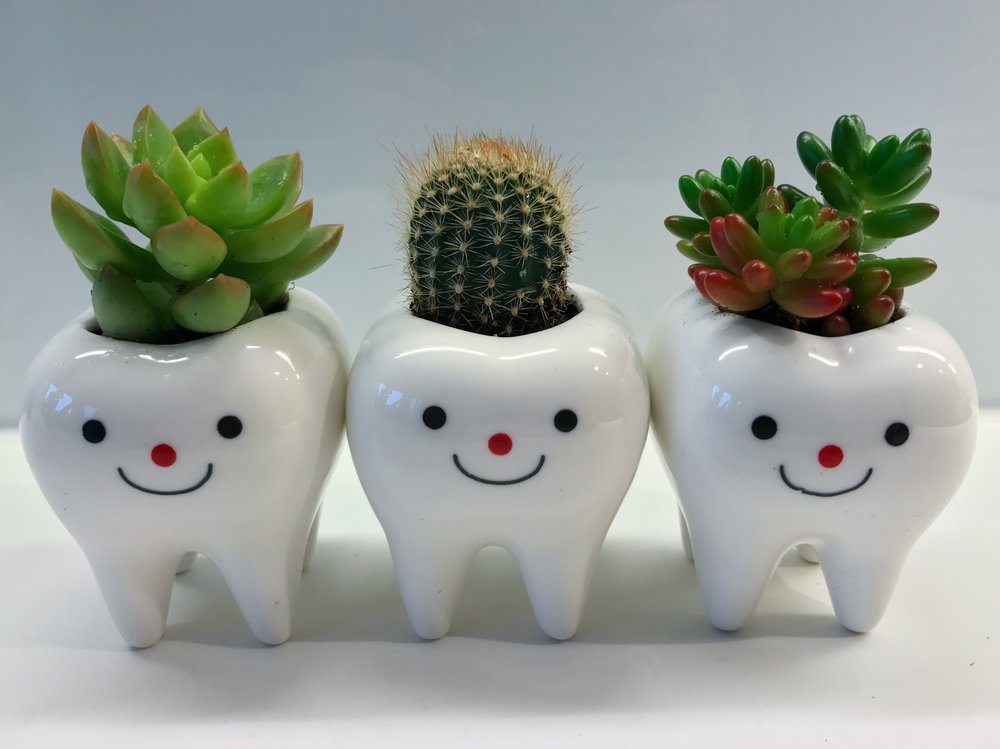 Toothy Pegs-3