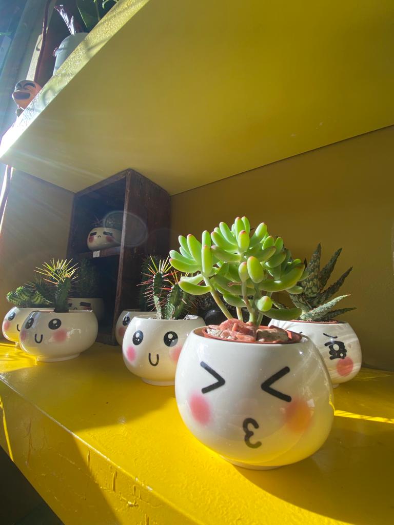 Succulent (Small)-9