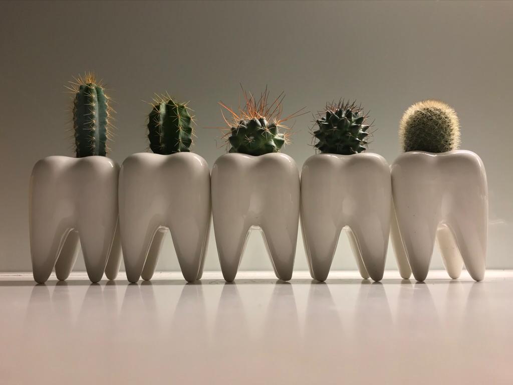 Toothy Pegs-5