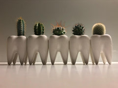 Toothy Pegs-5