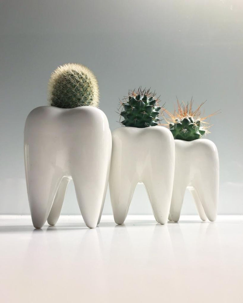 Toothy Pegs-1