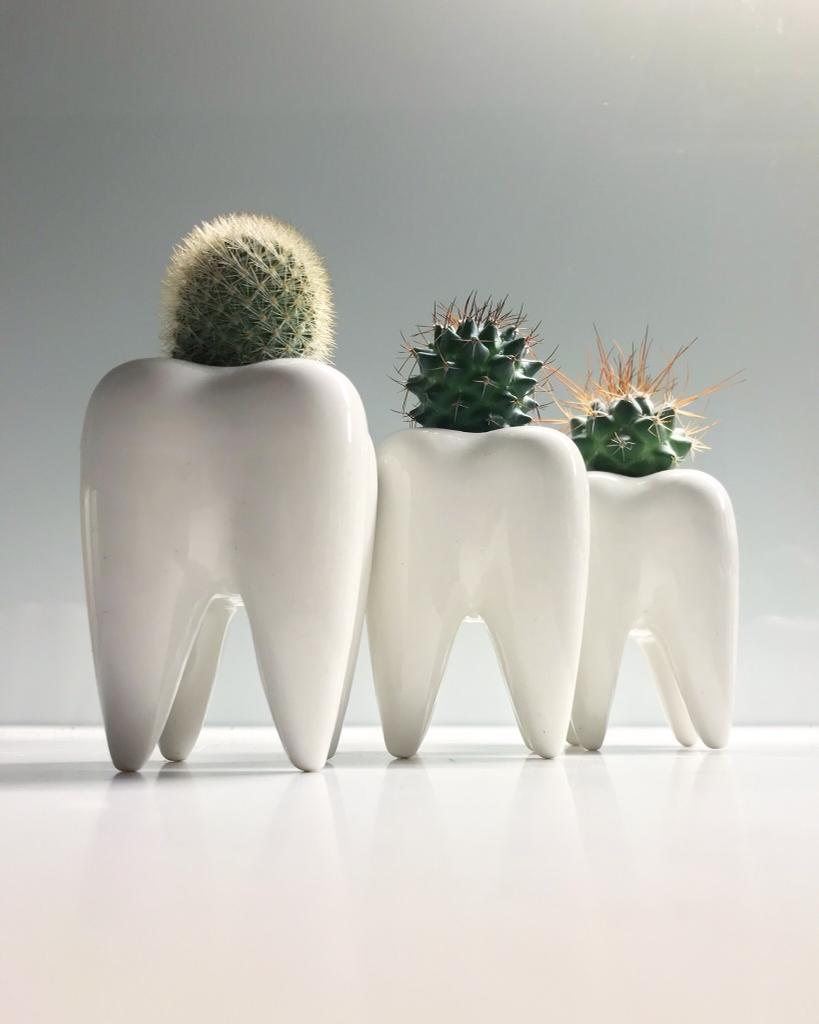 Toothy Pegs