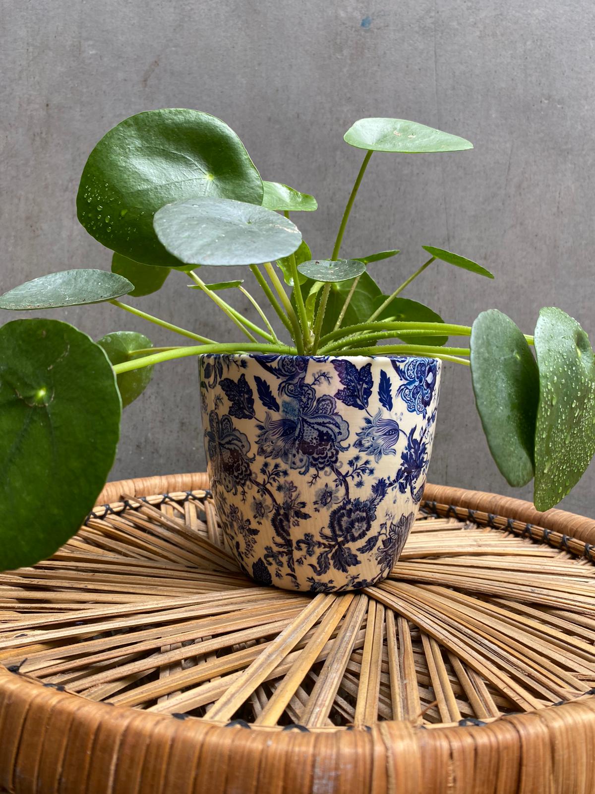 Victorian Ceramic Planter-4