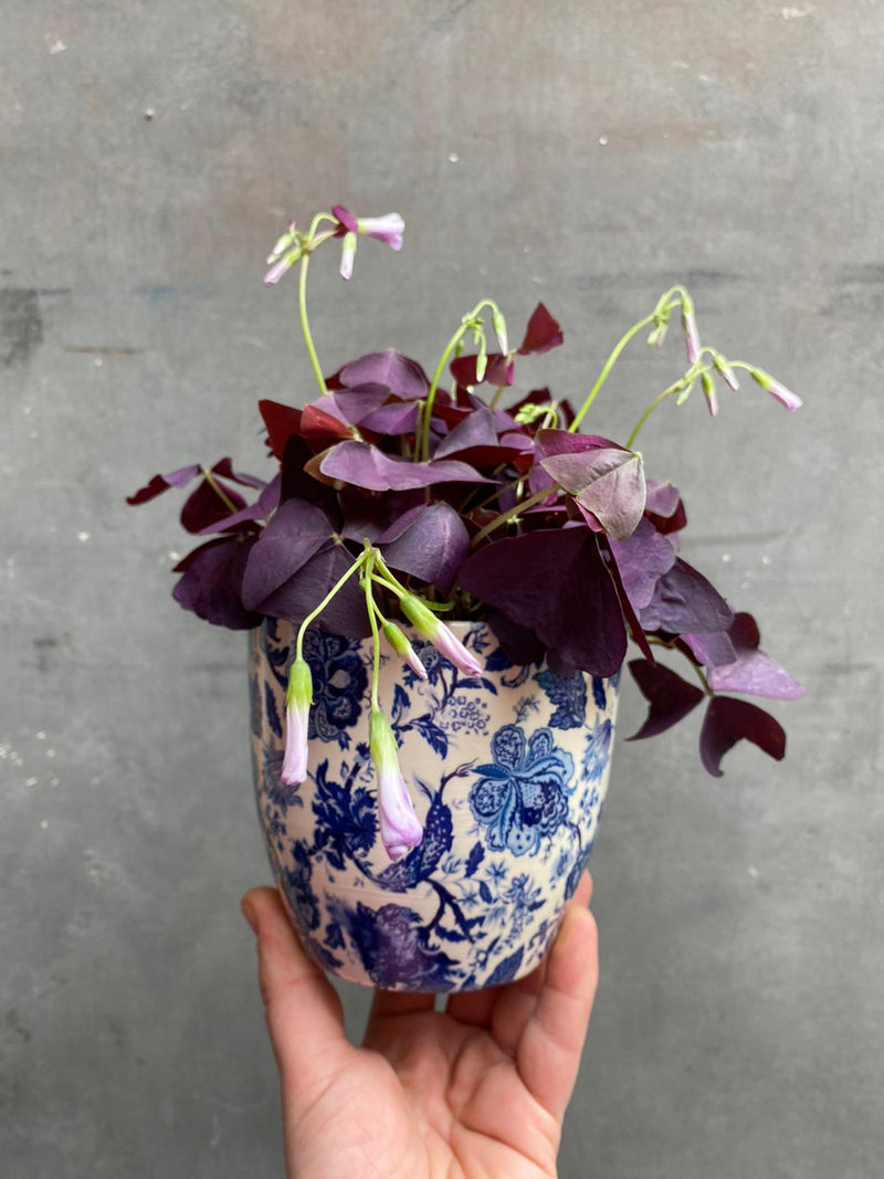 Victorian Ceramic Planter-2