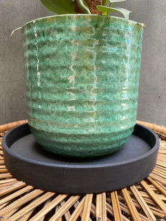 Black Plant Saucer-1
