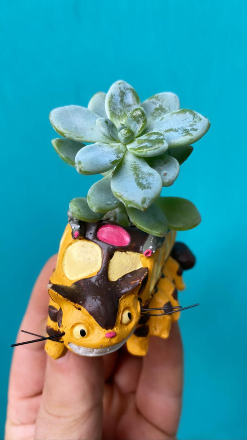 Cat Bus Planter-6