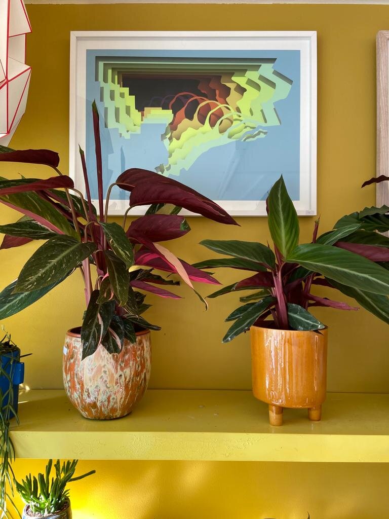 Pisa Bowls and Planters-2