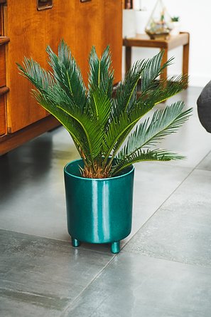 Pisa Bowls and Planters-5