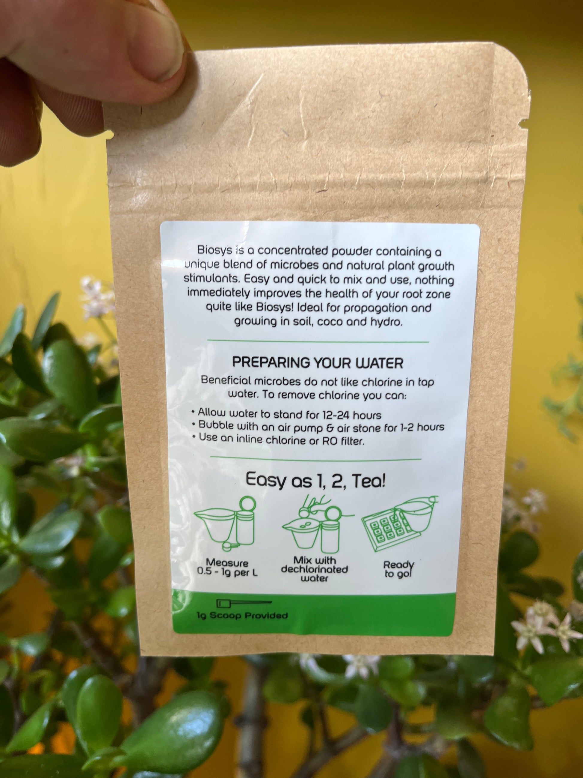 Microbial Tea-2