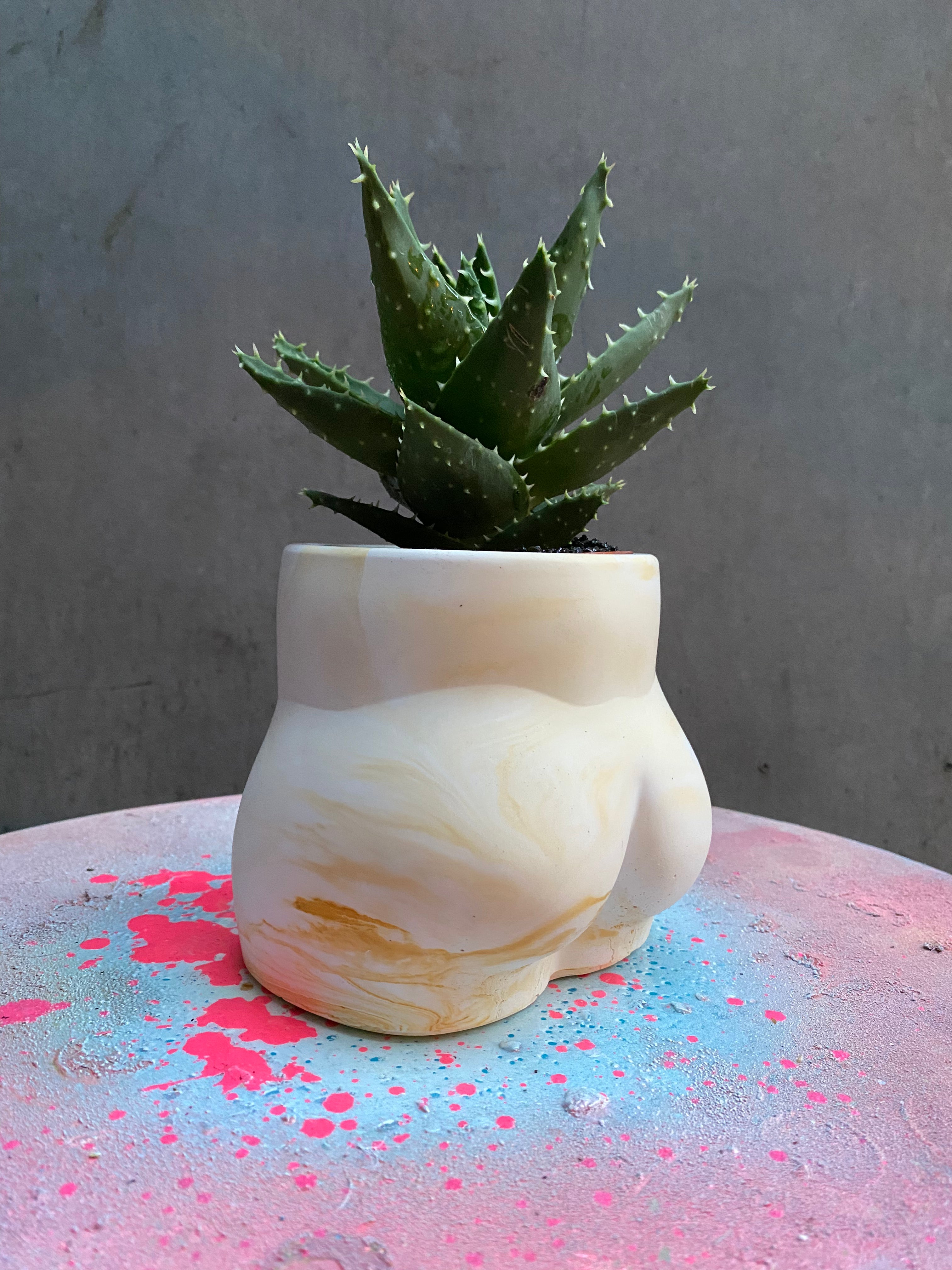 Bum Planter-6