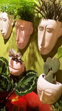 Face wall planters