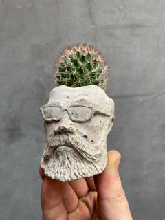 Hipster Dad Planter-1