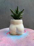 Bum Planter