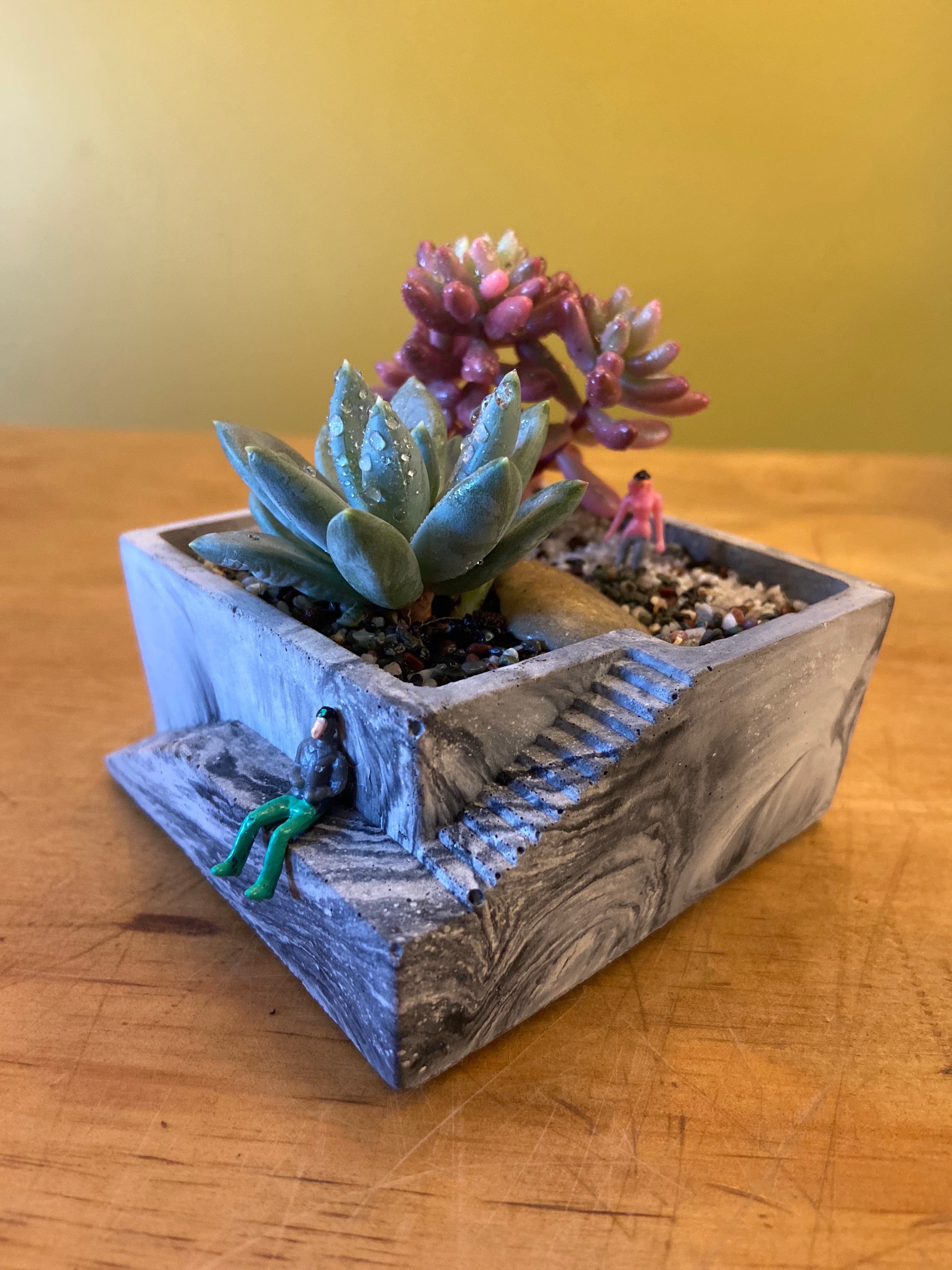 Succulent (Small)-7