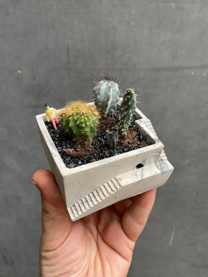 Custom Steps Planter-7