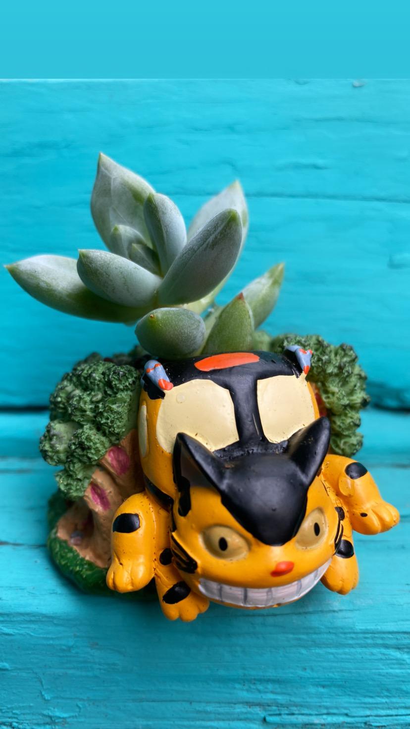 Cat Bus Planter-8