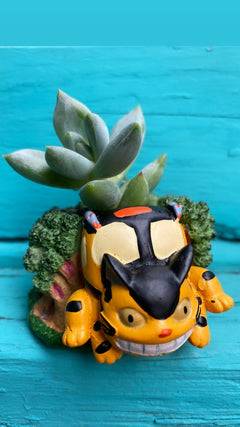 Cat Bus Planter-8