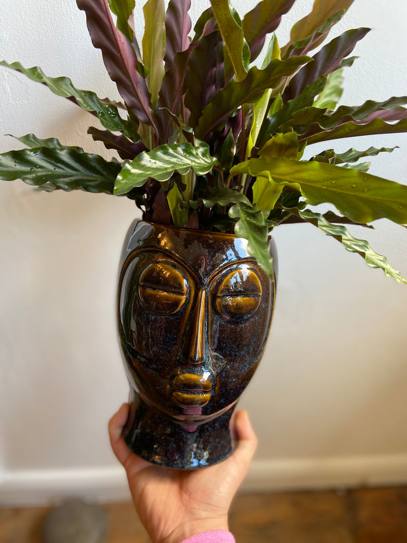 Head Planters-8