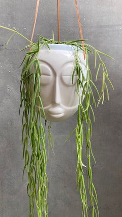 Head Hanger-4