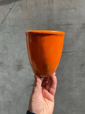Orange Vase Planter