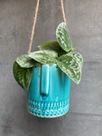 Hanging Face Planter