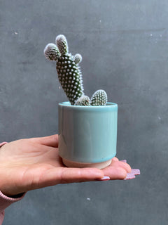 Eno Pots-9