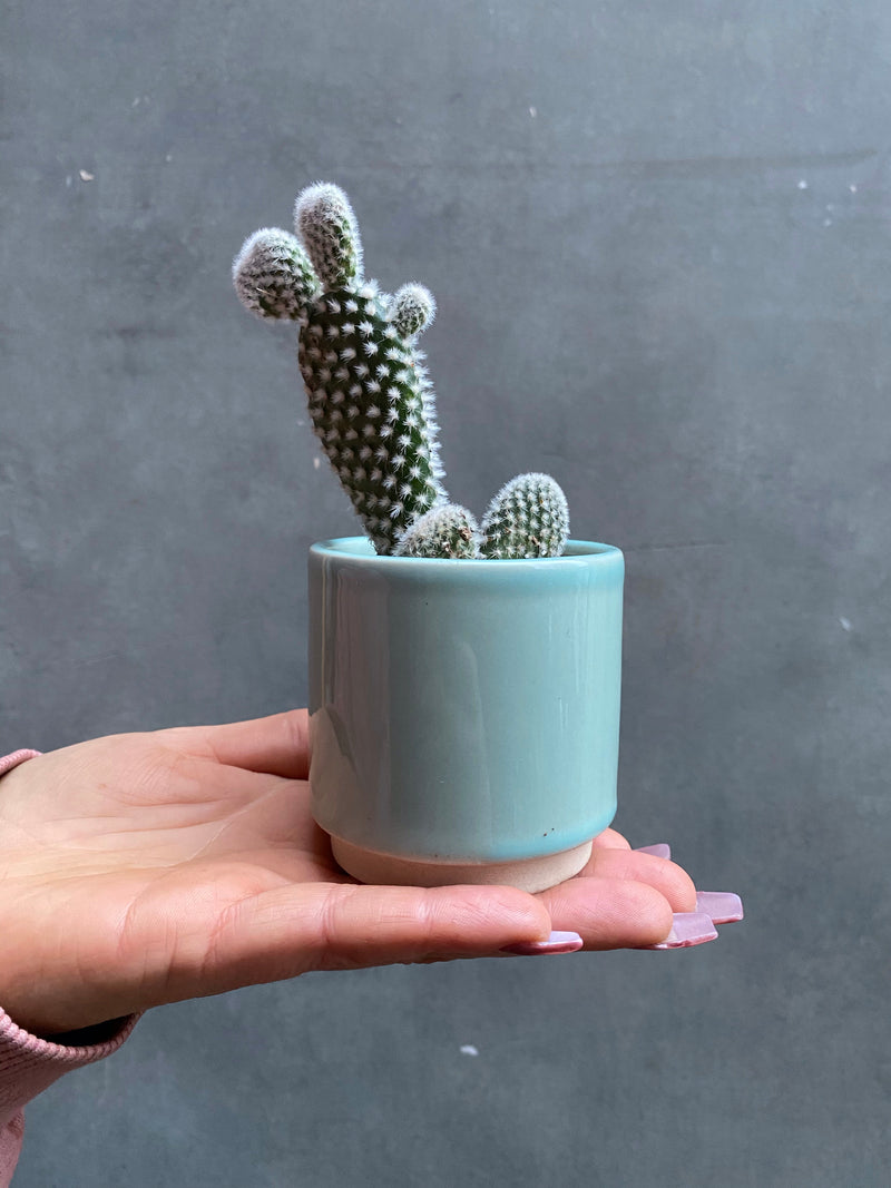 Eno Pots-9