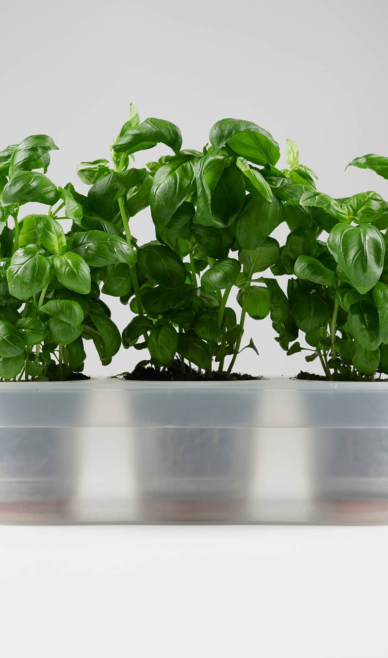 Till Planter - self-watering plant pot - Triple-2