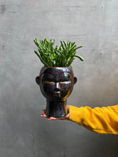 Head Planters-1