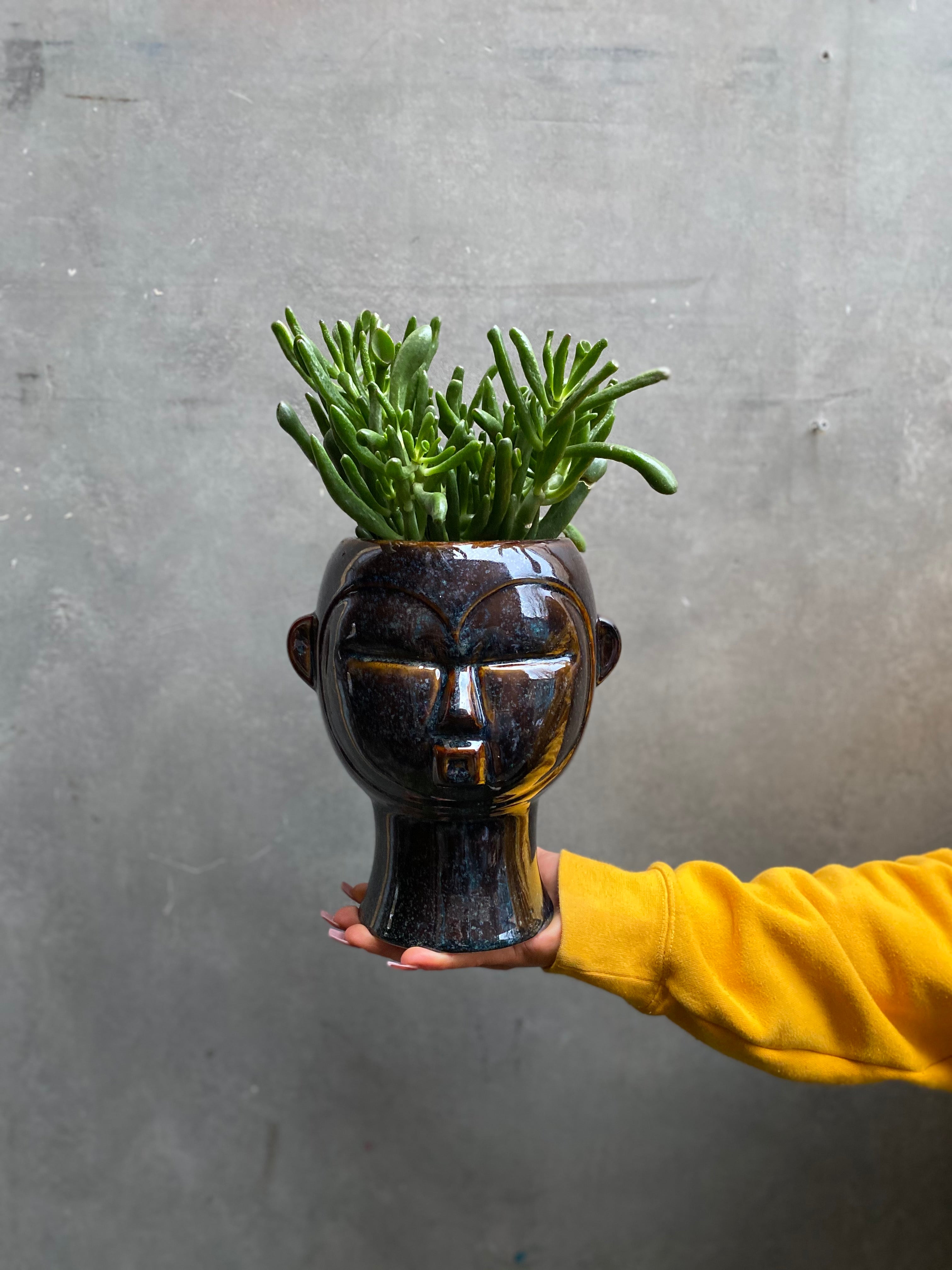 Head Planters