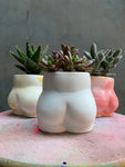 Bum Planter
