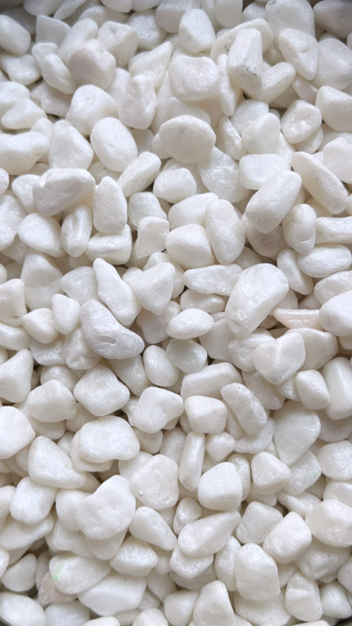 Decorative Gravel-5