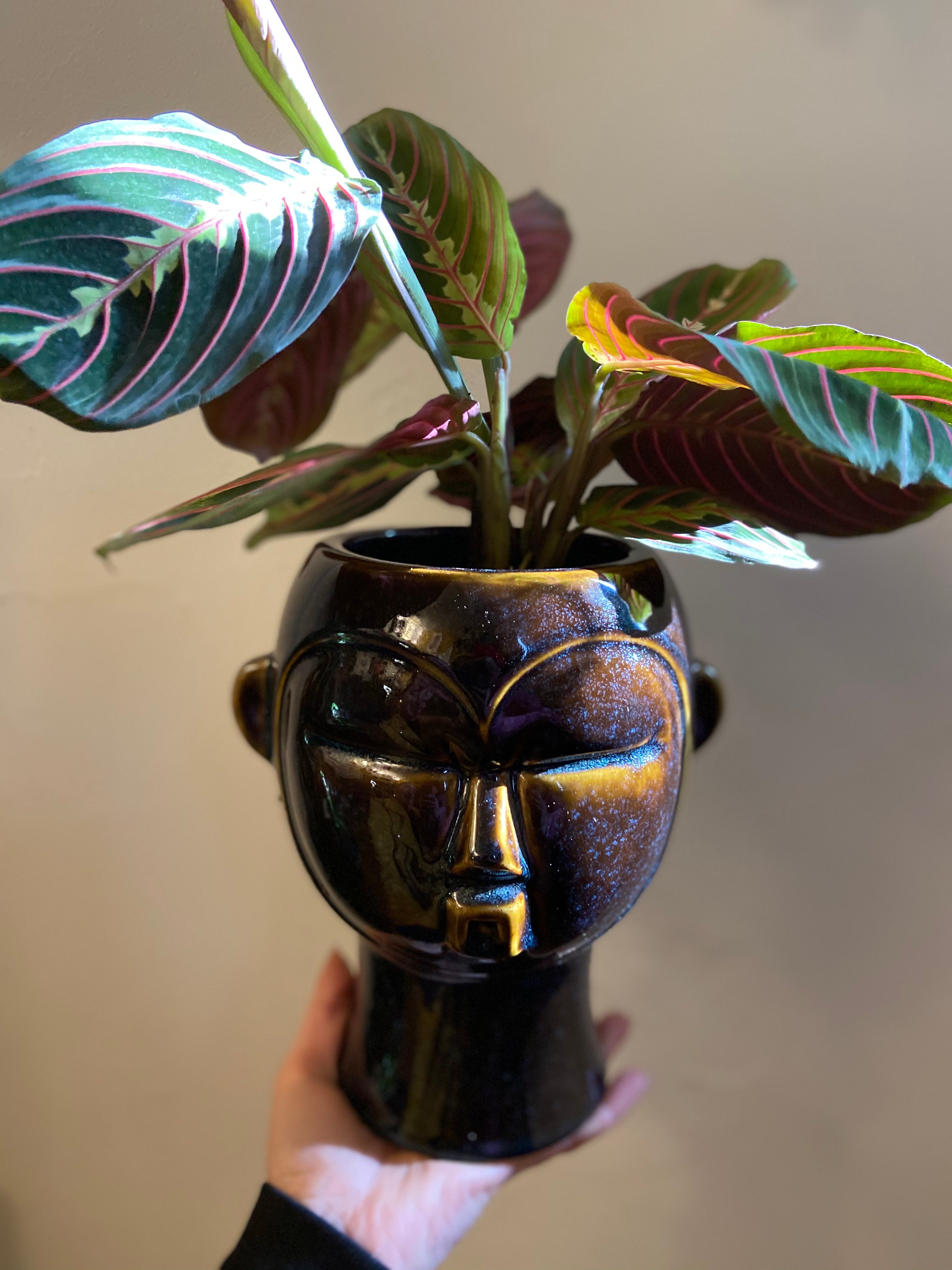 Head Planters-7