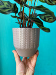 Circle Planter