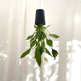 Sky Planter - recycled self-watering hanging pot