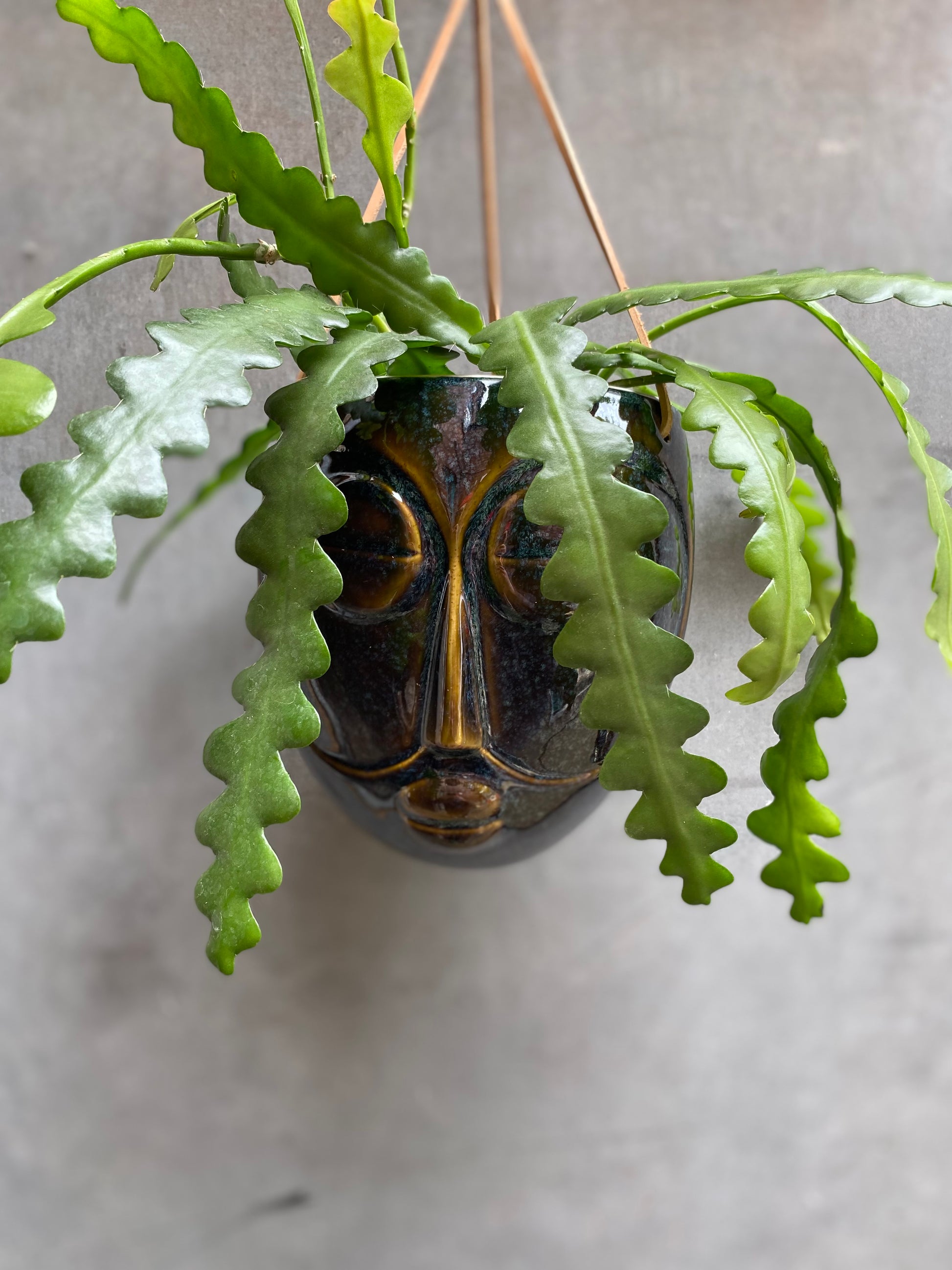 Head Hanger-2