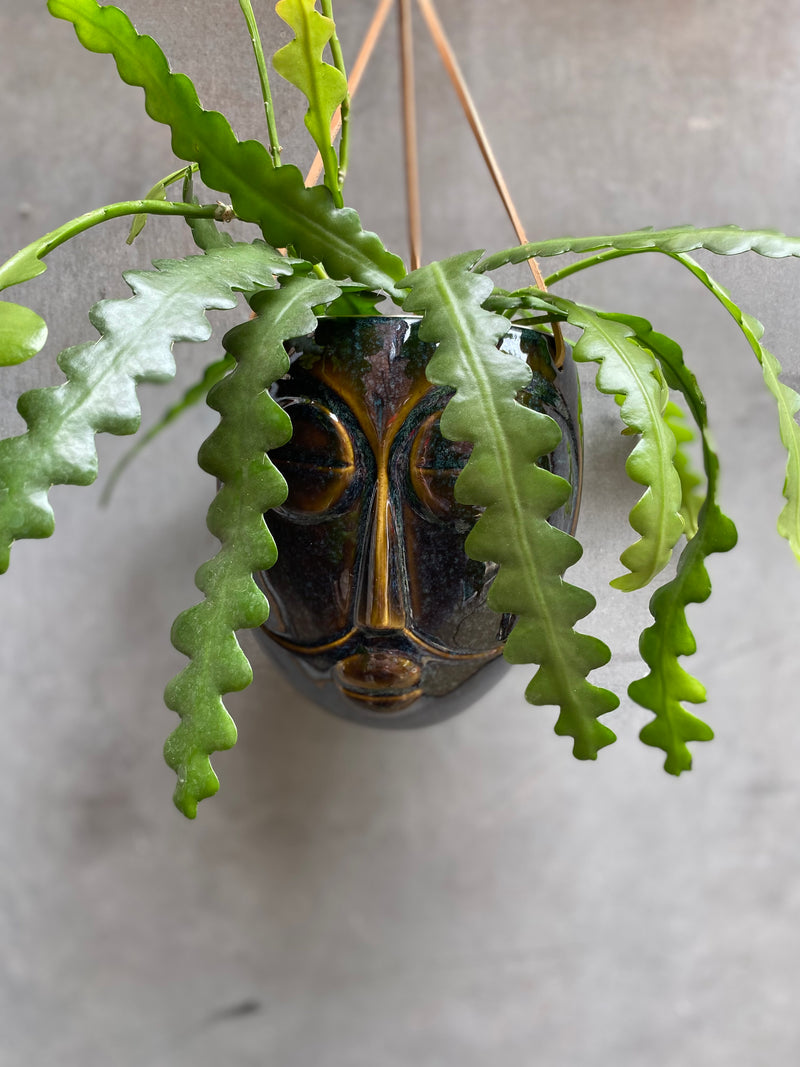 Head Hanger-2